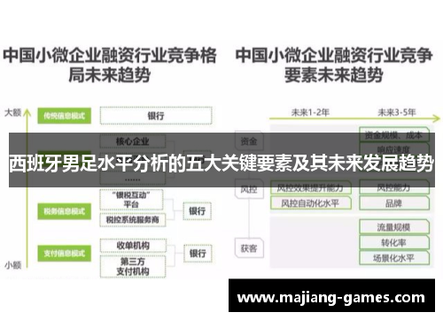 西班牙男足水平分析的五大关键要素及其未来发展趋势