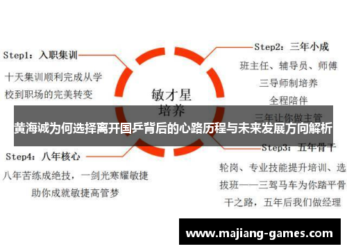 黄海诚为何选择离开国乒背后的心路历程与未来发展方向解析